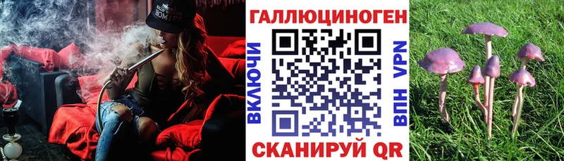 Галлюциногенные грибы GOLDEN TEACHER Усть-Илимск